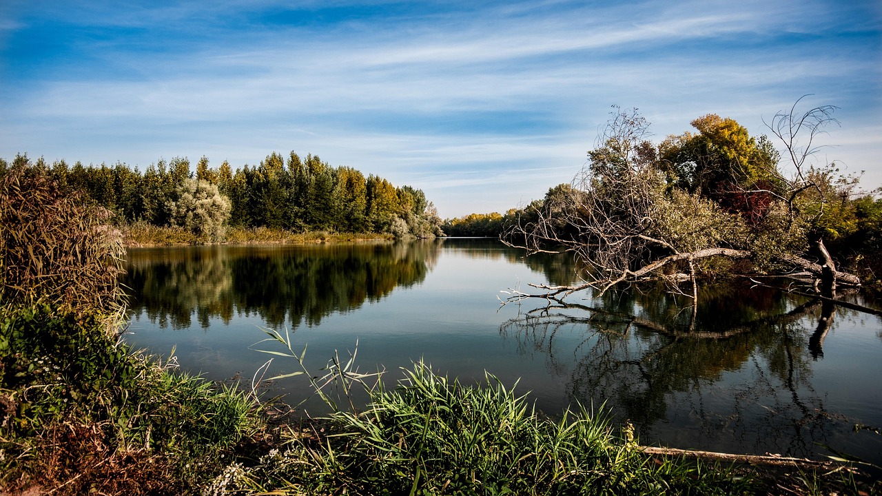river, trees, fall, reflection, bank, woods, water, autumn, calm, tranquil, environment, scenic, nature, river, environment, environment, environment, environment, environment