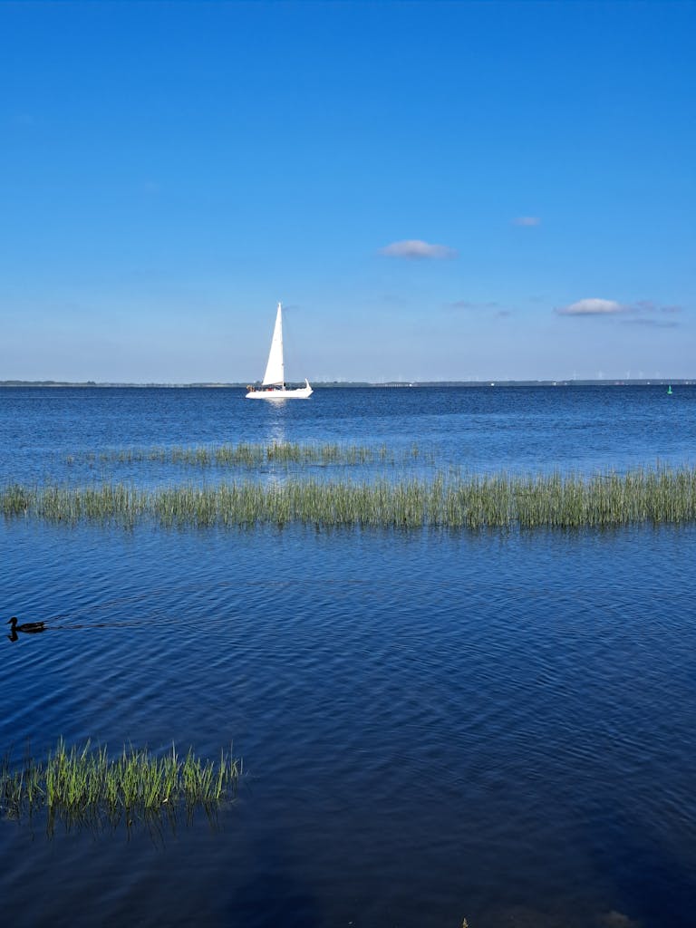 A serene view of a sailboat on a tranquil lake with clear blue skies and clouds.