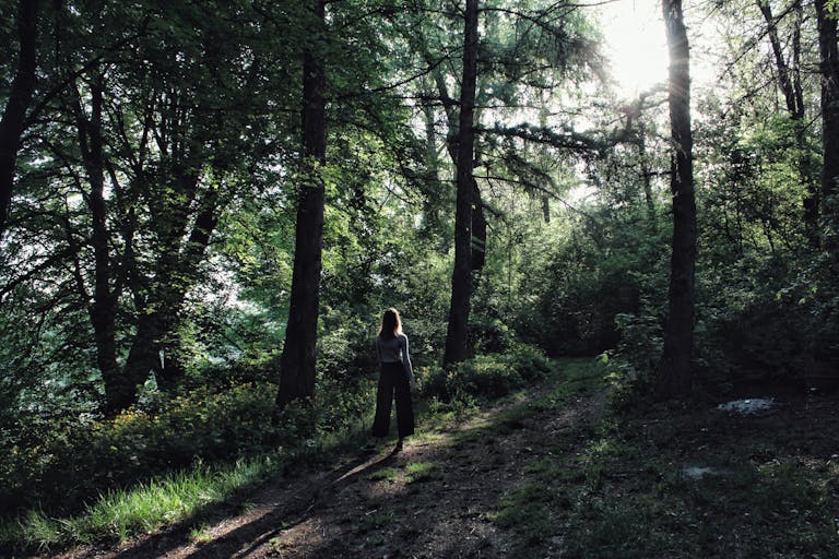 A woman walks alone through a sunlit forest pathway, surrounded by lush green trees.