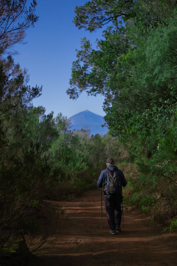 Person hiking with sticks on a natural trail in La Laguna, showcasing green forest and distant mountain.