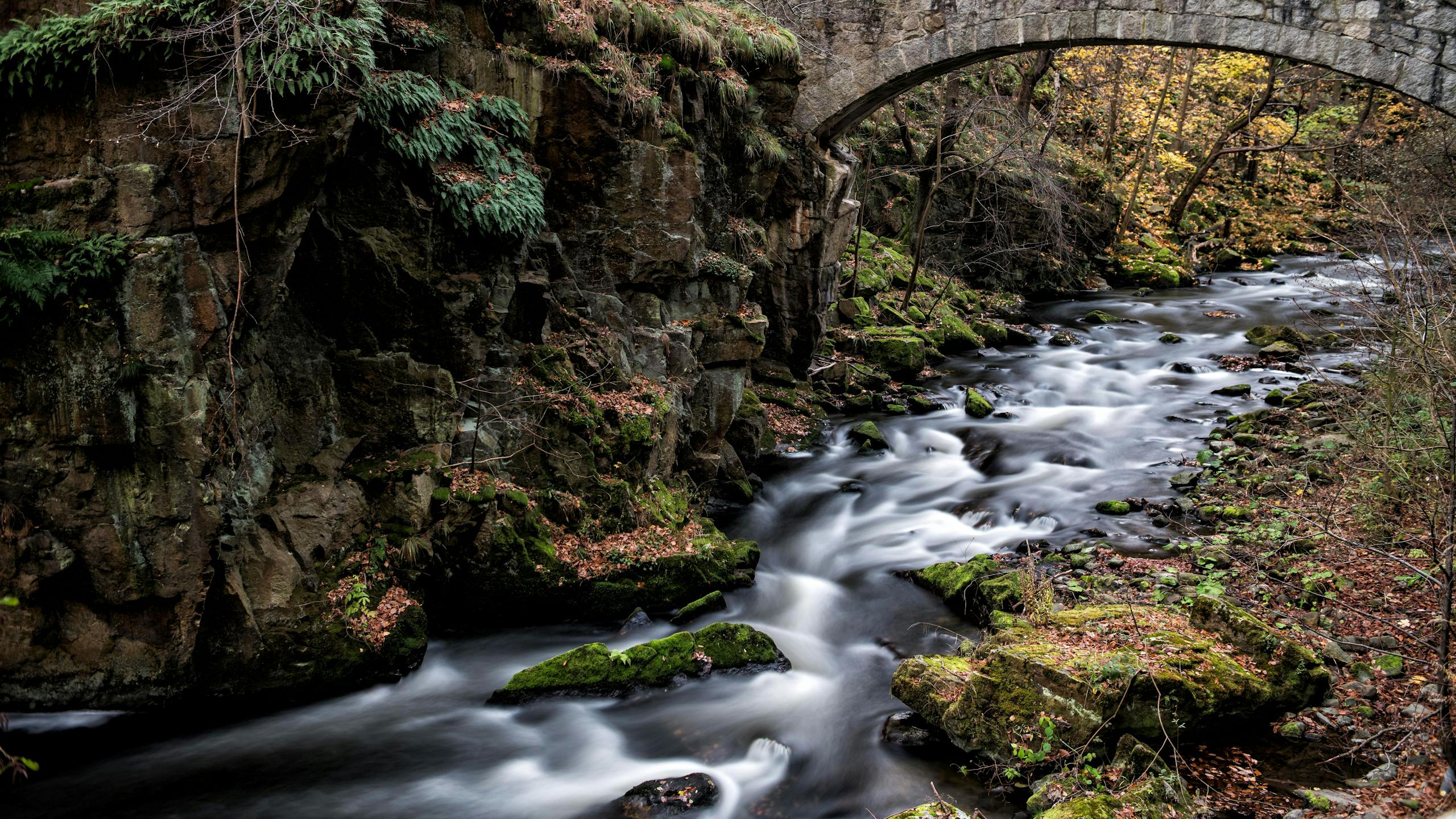 Tranquil creek flowing under a stone bridge in autumn, surrounded by vibrant foliage.
