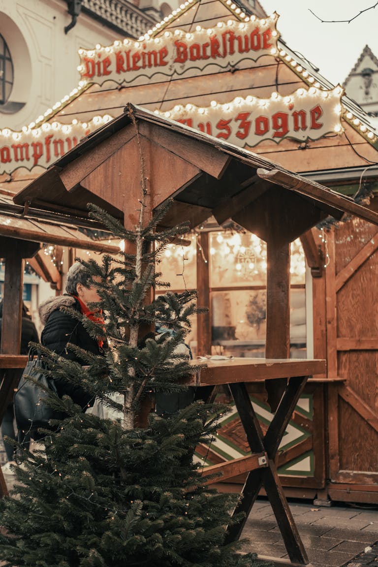 Christmas market stall with festive lights and a small tree in focus.