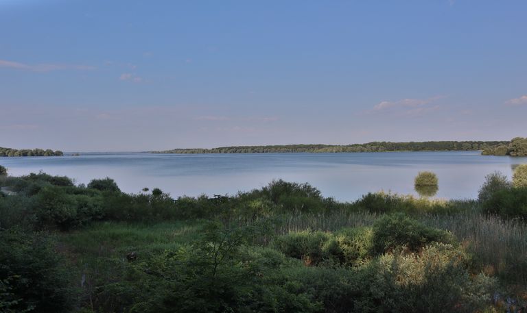 Peaceful lakeside scene with clear sky and vibrant greenery, perfect for nature lovers.